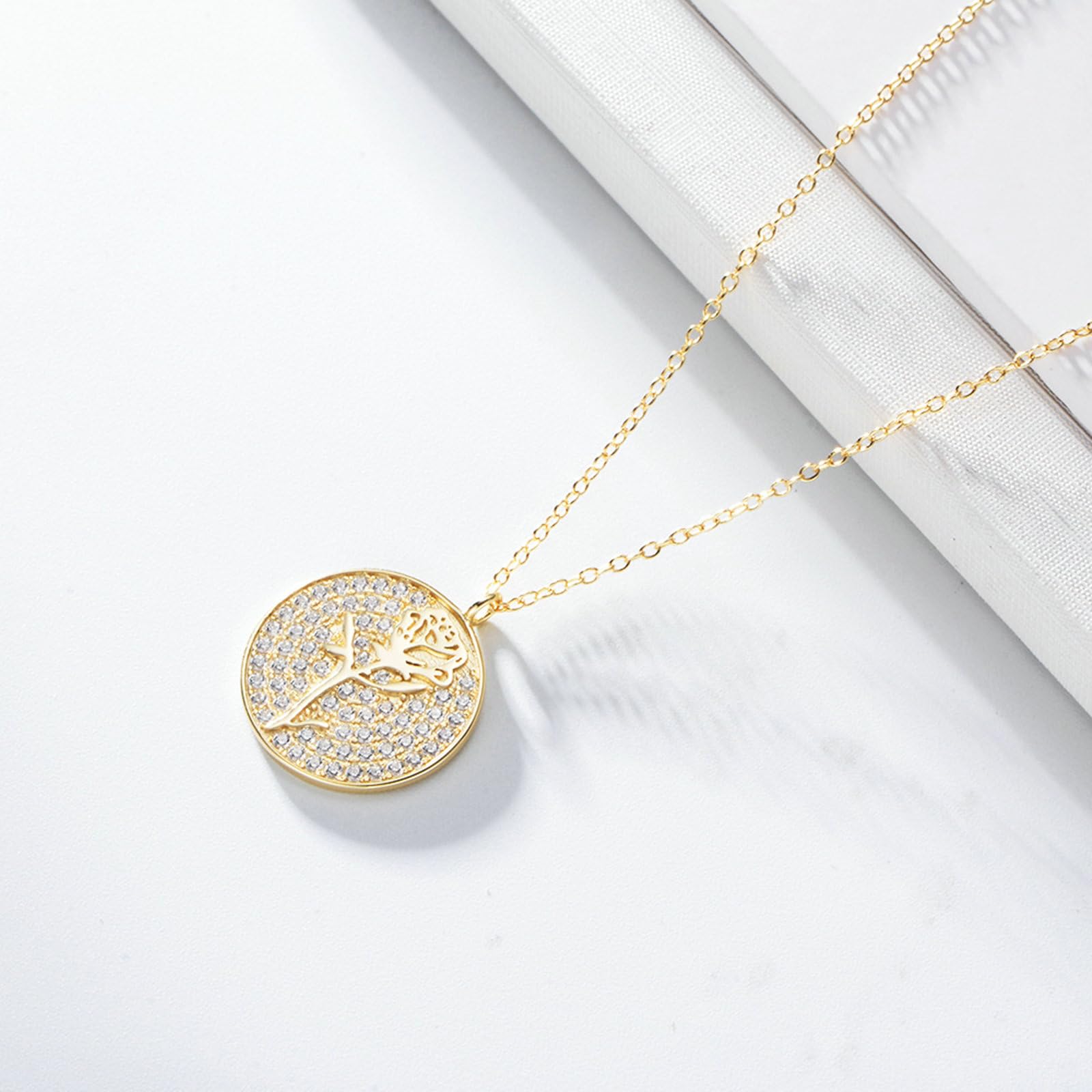 Collar de oro de 9 quilates, 14 quilates, 18 quilates, colgante de moneda con rosa y moissanita, cadena de oro de 45 cm para novia y boda