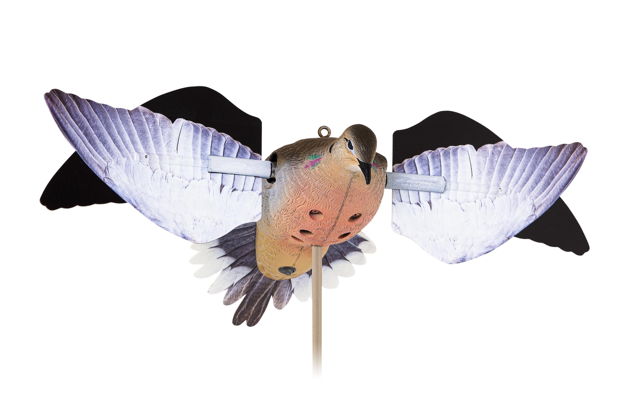  バード　 Dove Avian-X POWERFLIGHT Spinning Wing Dove, Decoys - Amazon Canada