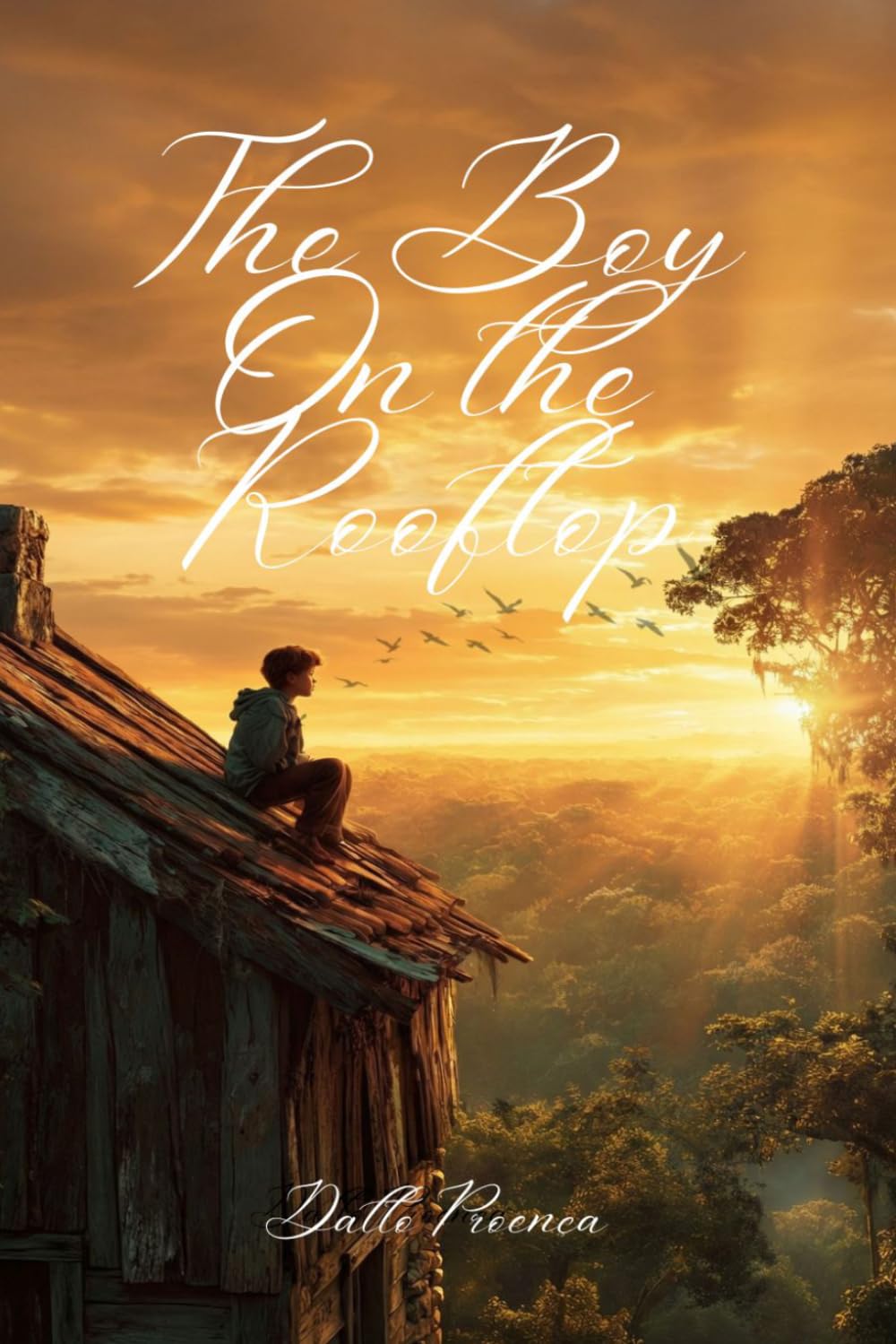 The Boy on the Rooftop: A powerful story about identity