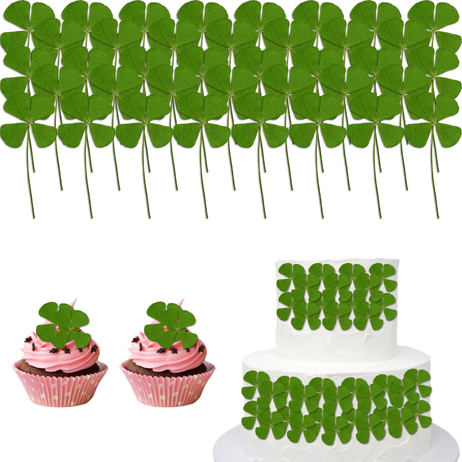 CENCERY 36 Pcs Dried Flowers Cake Decor Flowers Pressed Blossoms Dried Flowers for Crafts for Cakes Cupcakes Desserts (Clover)