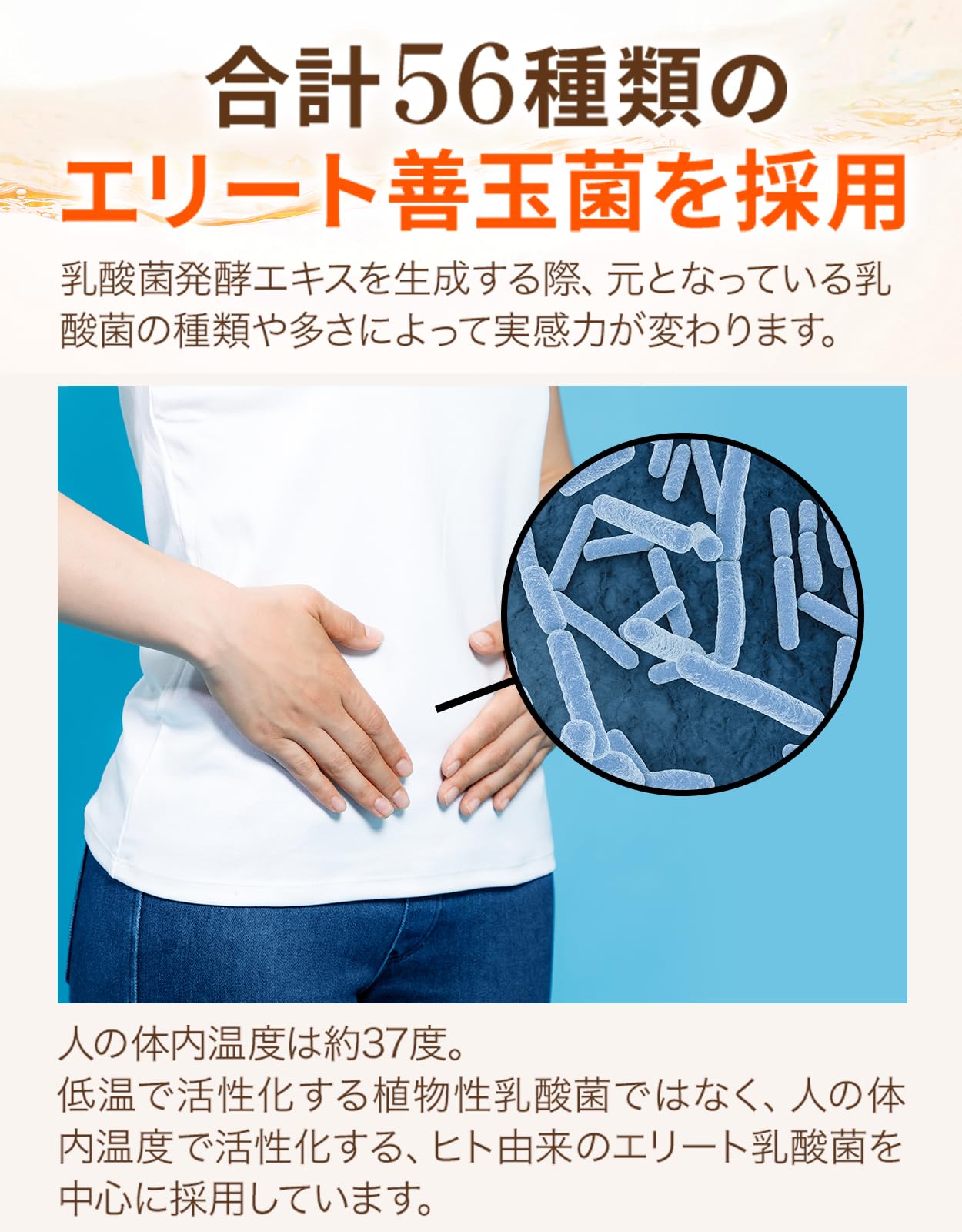 Amazon | 【フローラ健康科学研究所】 善玉元気 サプリ 国内製造