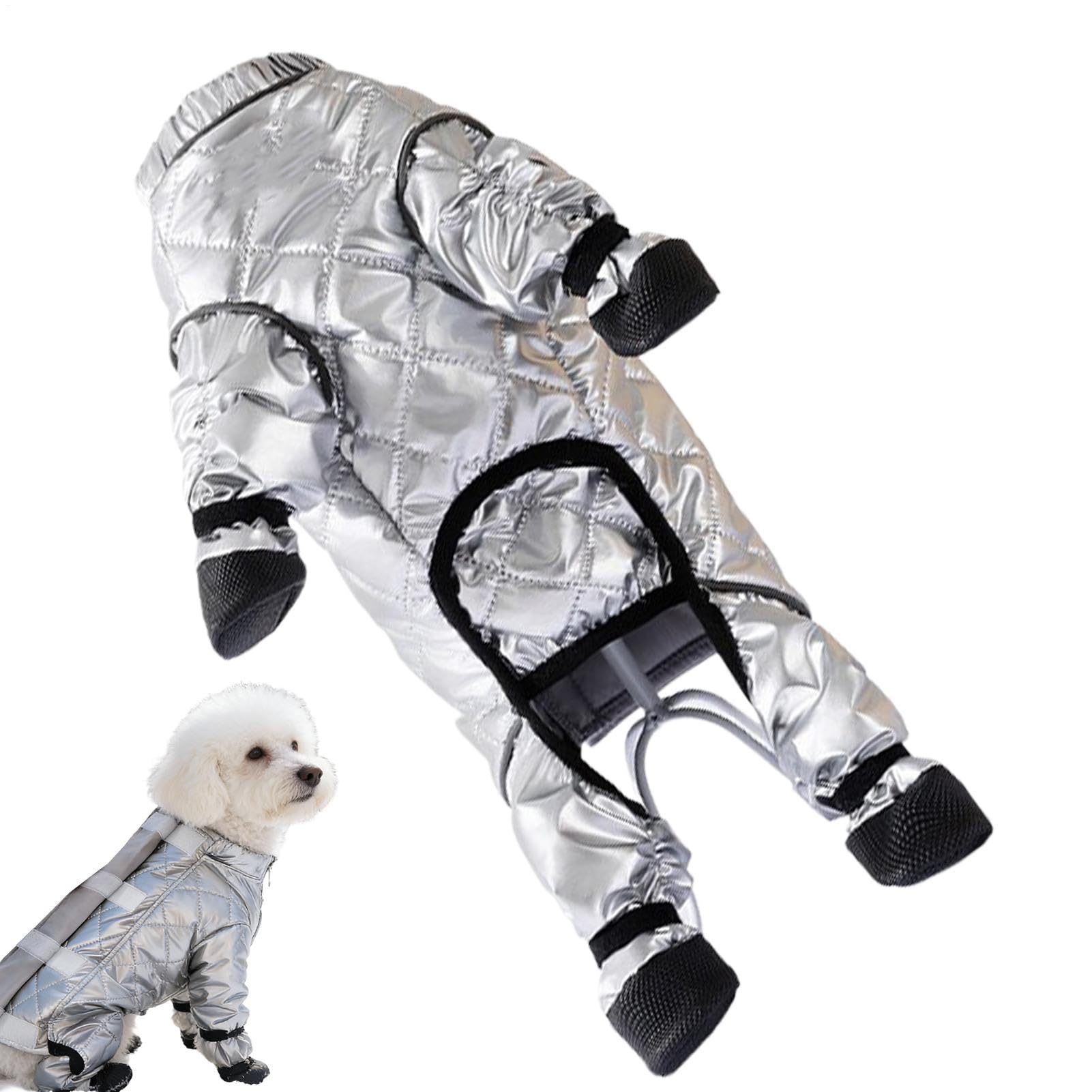 Combinaison de neige pour chien idéale pour la randonnée et les promenades quotidiennes