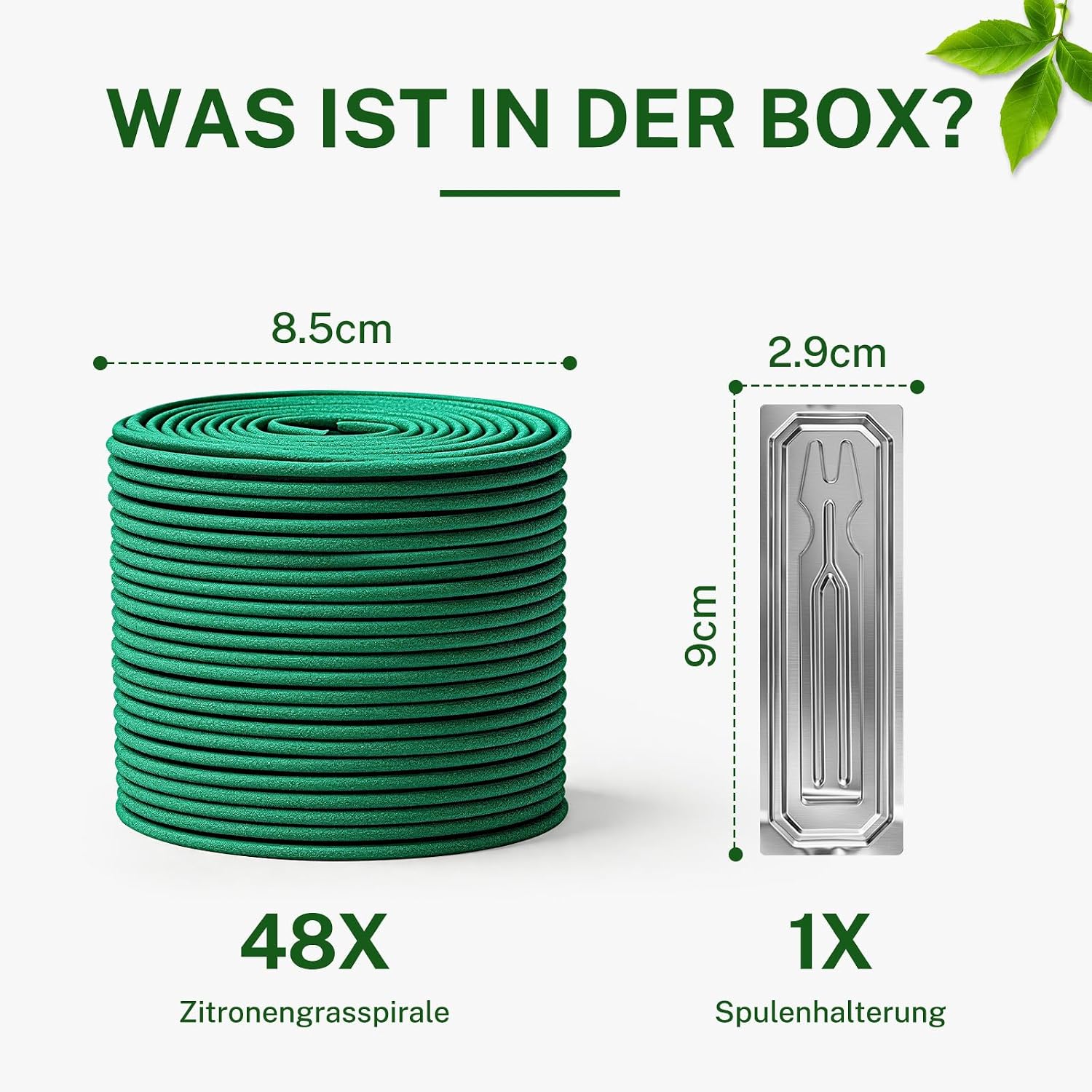 Vue 6