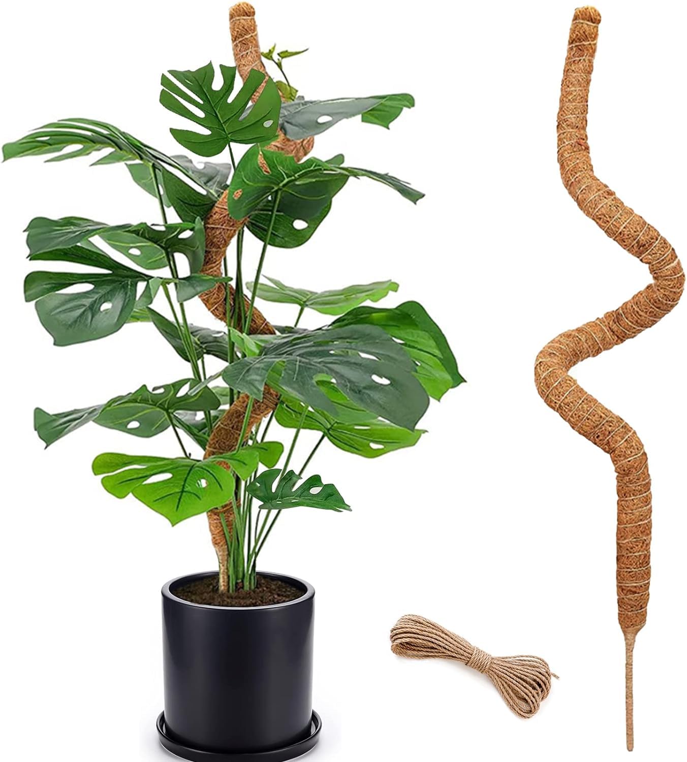 Rayyan 48'' Moss Pole - Monstera Plant Support - Bendable Trellis for Climbing Indoor Potted Plants - Stakes and Sticks