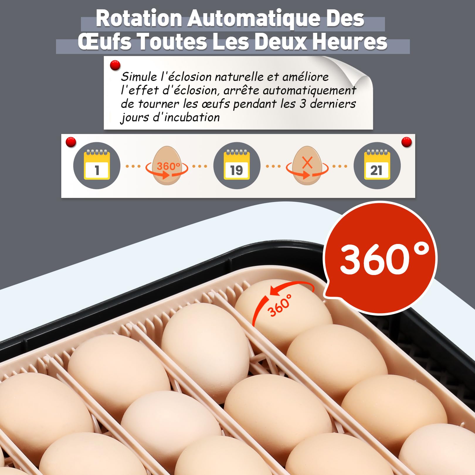 Sailnovo Couveuse 56 Oeufs Incubateur Oeuf Automatique avec Retournement Automatique des Oeufs et Humidification Automatique, Parfait pour les laboratoires, les écoles et les fermes, Gris
