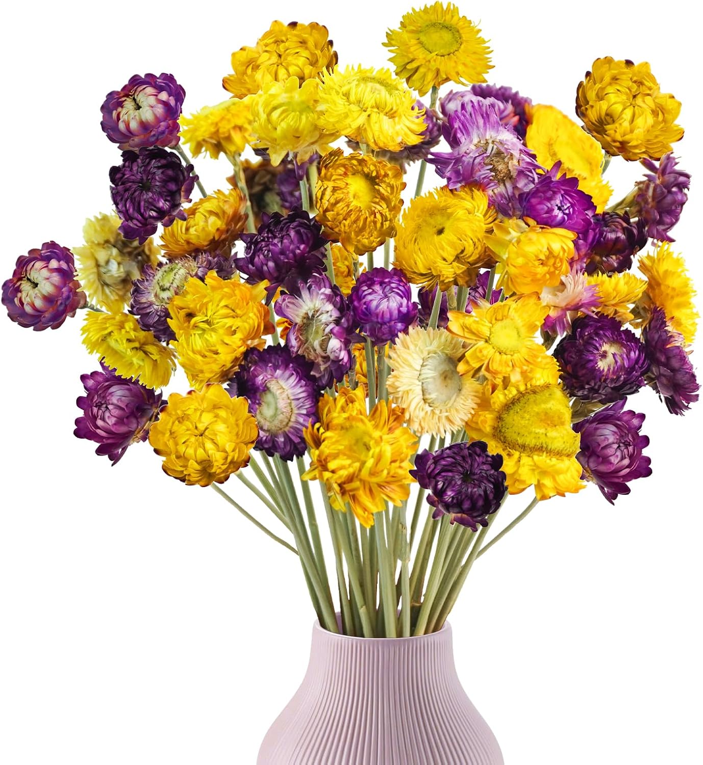 仏花 ガラスドーム プリザーブドフラワー お盆 お彼岸 お供え 虹の橋