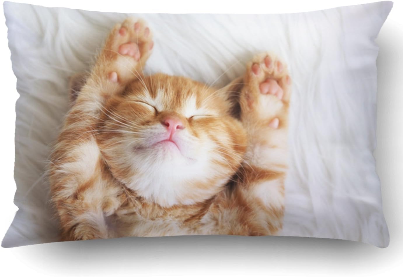 Emvency Queen Throw Waist Pillow Case 20x30 Inches Decorative Cushion Pillowcases Kitten Throw Pillow Cover with Hidden Zipper for Bedroom Decor Sofa Couch