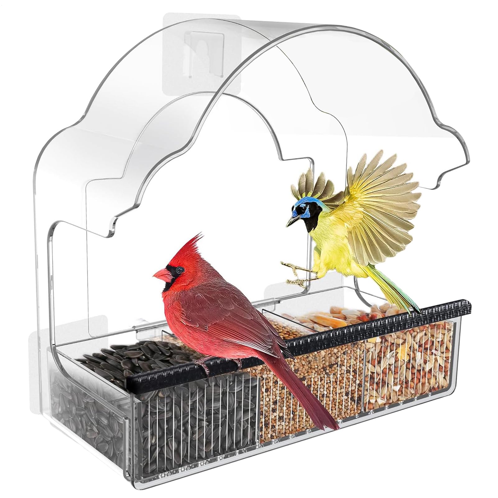 Mangeoire pour oiseaux de fenêtre pour balcon et jardin afin d'observer la nature de chez soi