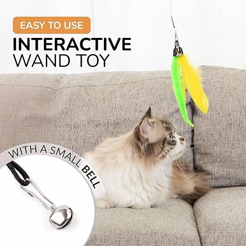 Miniatura 6 de PAWSITIVE Juguetes interactivos para gatos, varita retráctil de plumas con juego de recarga de 12 piezas, perfecto para que los gatos de interior