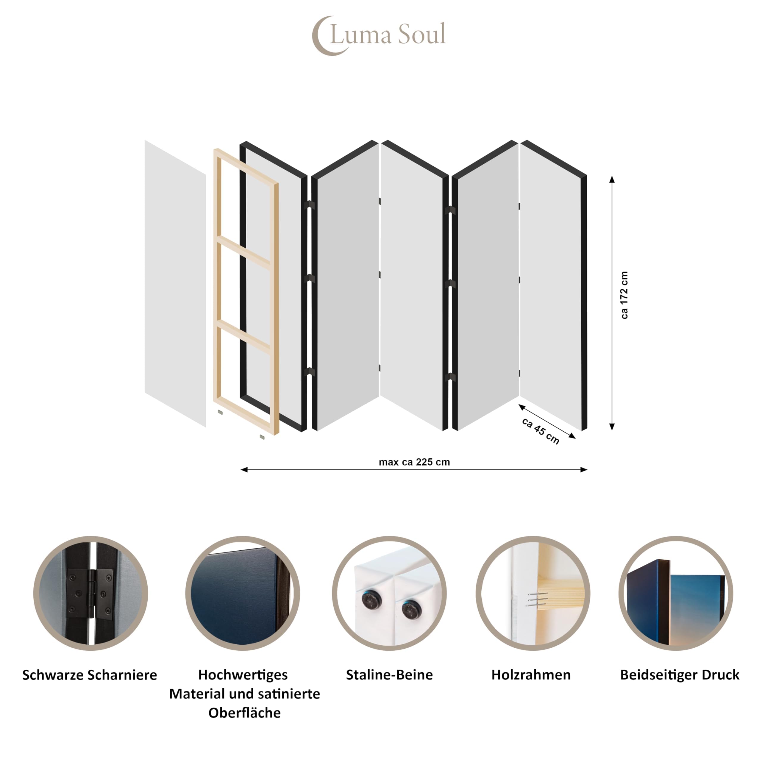 Paravent Intérieur 5 Panneaux Recto - Verso Pliable - Separateur de Pieces - Cloison de Separation de Chambre pour Chambre à Coucher, Salle de séjour - 225x172 cm