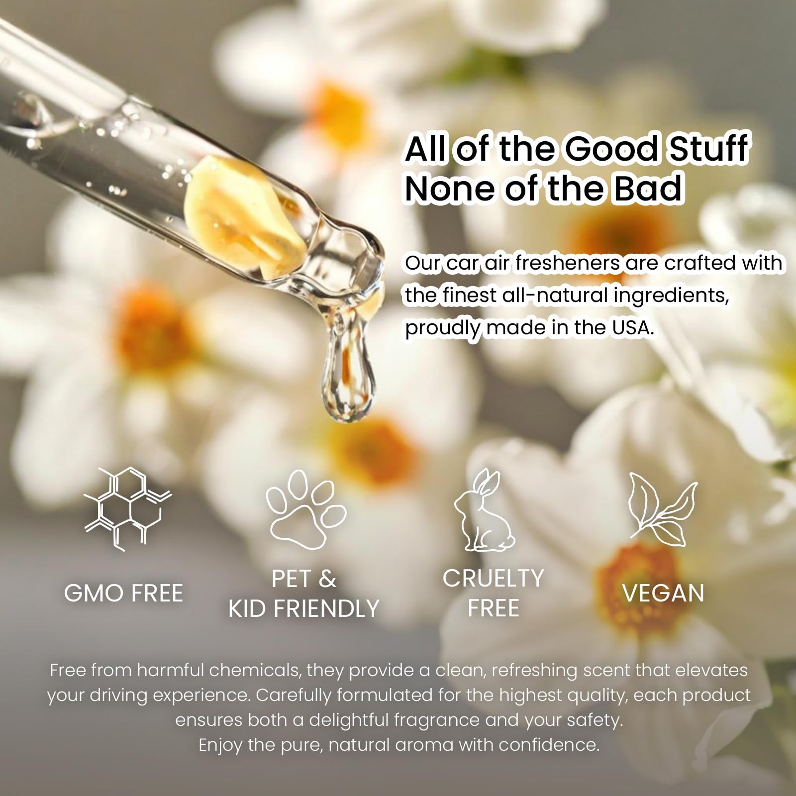 Hanging Car Air Freshener, Long Lasting Scent, Cute Air Fresheners for Women, 2 Pack Non-Toxic Essential Oil Diffuser, Made in USA