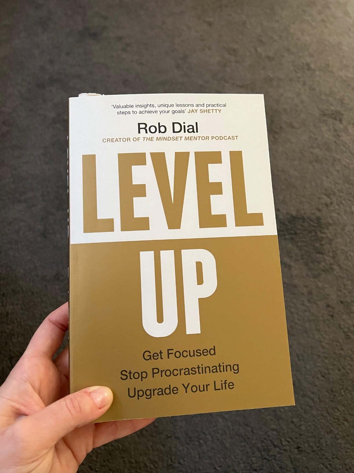 Level Up: Get Focused, Stop Procrastinating and Upgrade Your Life ...