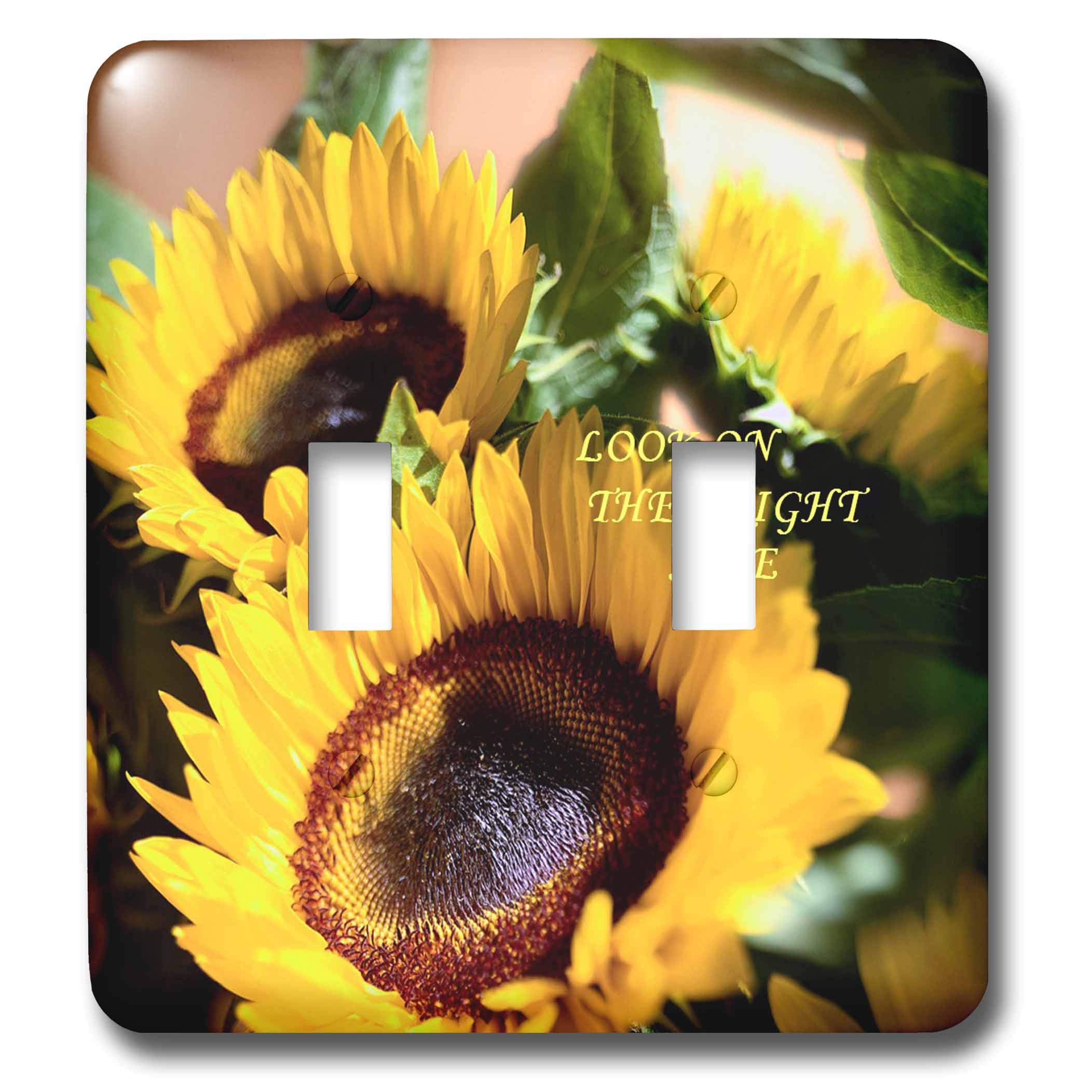3dRose lsp_62311_2 interruptor de luz decorativo de diseño exclusivo para pared