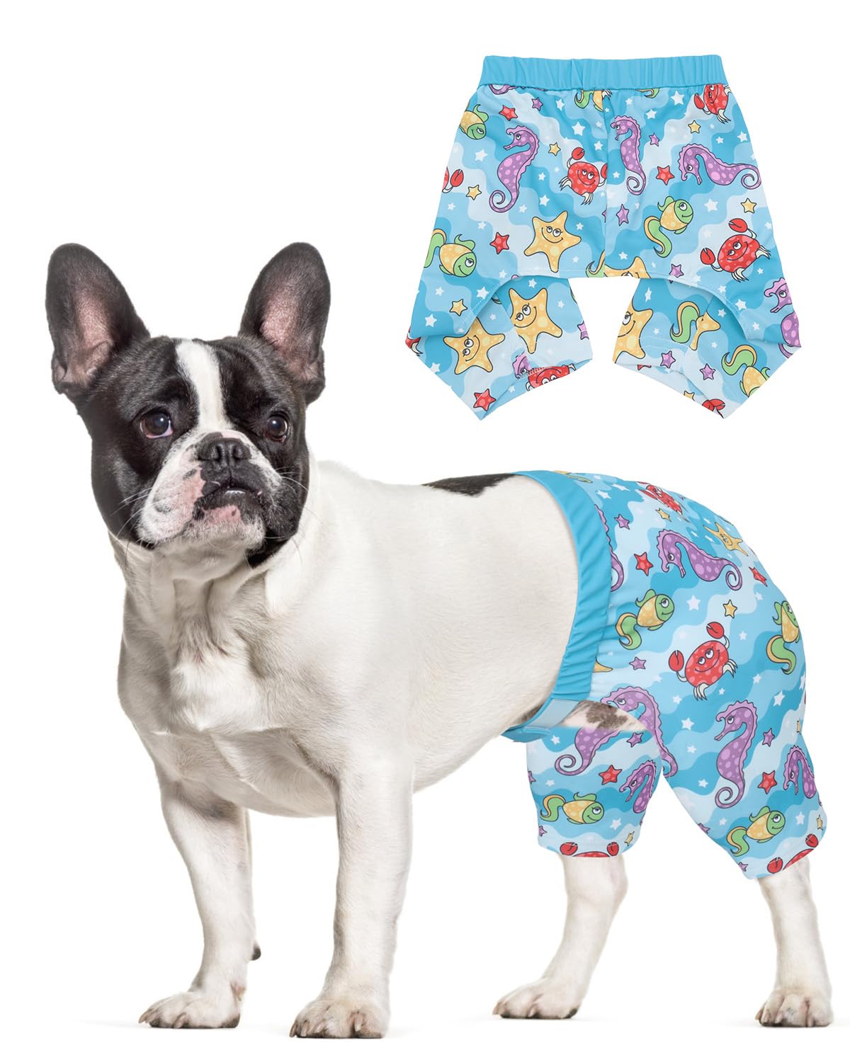 CuteBone Dog Swim Trunks Swimsuit Durable &amp; Comfortable - Quick-Dry, Adjustable Waistband Shorts, UV Protection Bikini- Perfect for Beach, Pool &amp; Outdoor Fun, Dinos DST13L