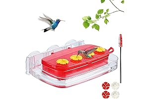 Hanging or Window Hummingbird Feeder