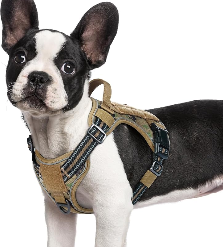 Peitoral Vest Tático para Cães rabbitgoo com Sistema MOLLE e 2 Pontos de Guia — Tamanho Pequeno
