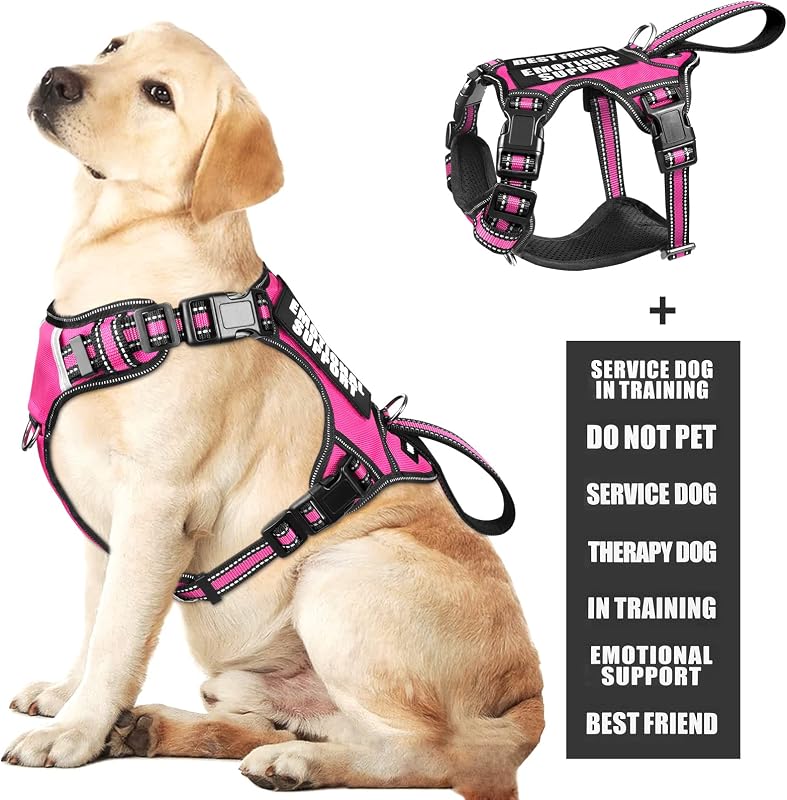 Peitoral Vest WINSEE para Cães com Controle de Tração, Faixas Refletivas e 7 Patches, Tamanho Ajustável