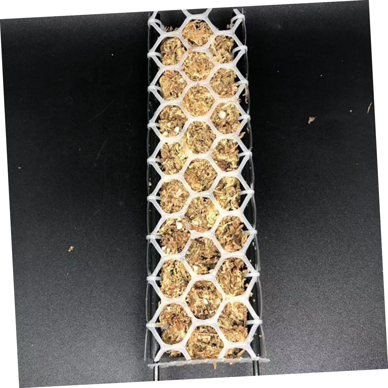 Enrejado flexible de soporte para plantas, enrejado de plástico duradero para plantas trepadoras, kit de jardín interior y exterior para plantas en maceta, sistema de soporte de verduras de malla
