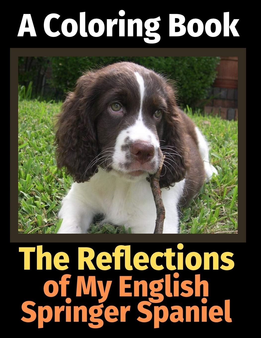 The Reflections of My English Springer Spaniel: A Coloring Book