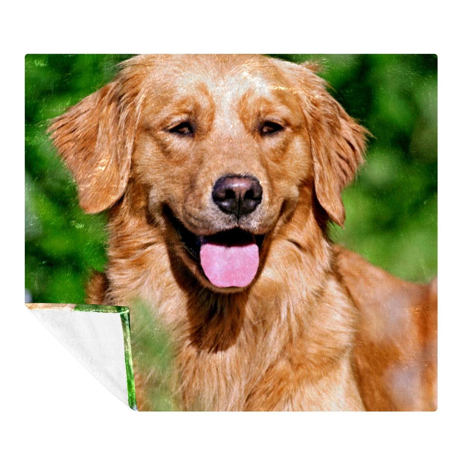 Couverture en peluche Golden Retriever, le cadeau idéal pour les passionnés de chiens