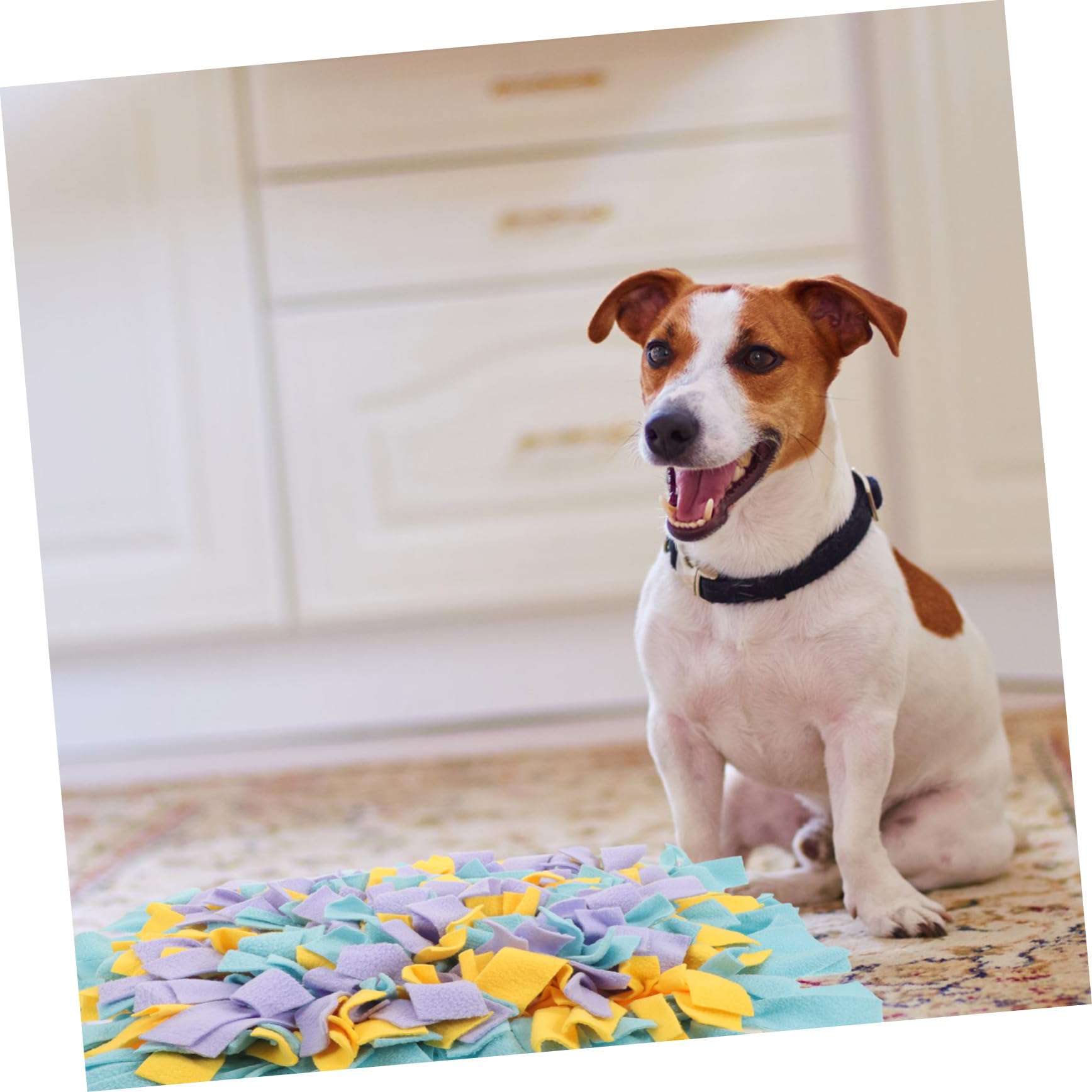 Juguetes De Rompecabezas para Perros Alfombrilla De Alimentación Lenta para Mascotas Almohadilla para Olfatear Diseño Creativo para El Ejercicio De Mascotas