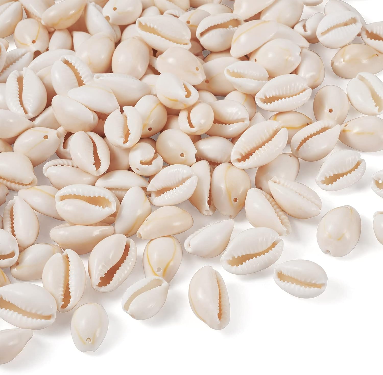 Craftdady 100Pcs Electroplate Mixed Colors Undrilled Cowrie Beach Seashells 17-21x11-14mm Ocean Summer Jewelry Craft Making Natural Spiral Shell Beads for Vase Filler Home Party Wedding Decor