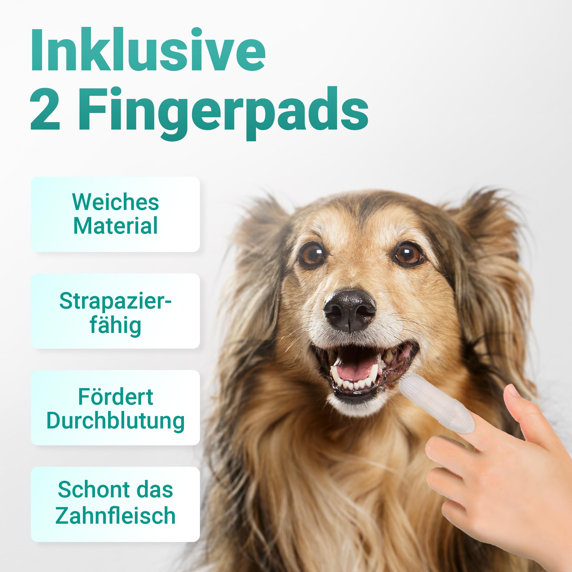 emmi-pet Zahnpflegeset für Hunde - 1x3köpfige Hundezahnbürste mit 1x Hundezahnpasta und 2x Fingerzahnbürste (Blau, Erwachsene - Senioren)