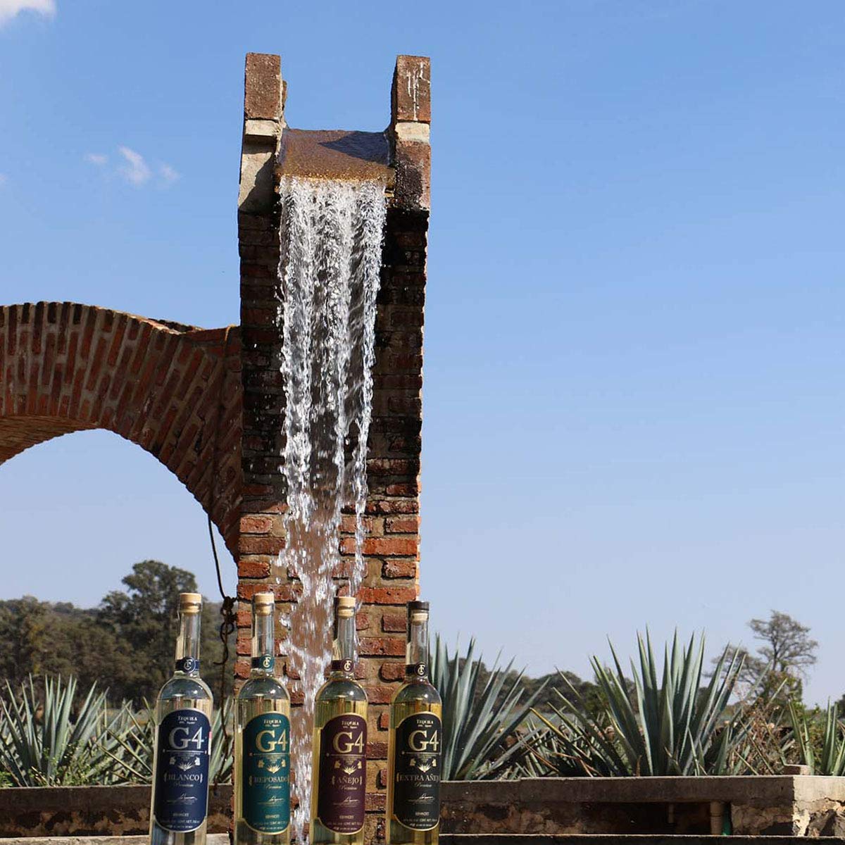 G4 Tequila Reposado 40% (1 x 0.7 l)