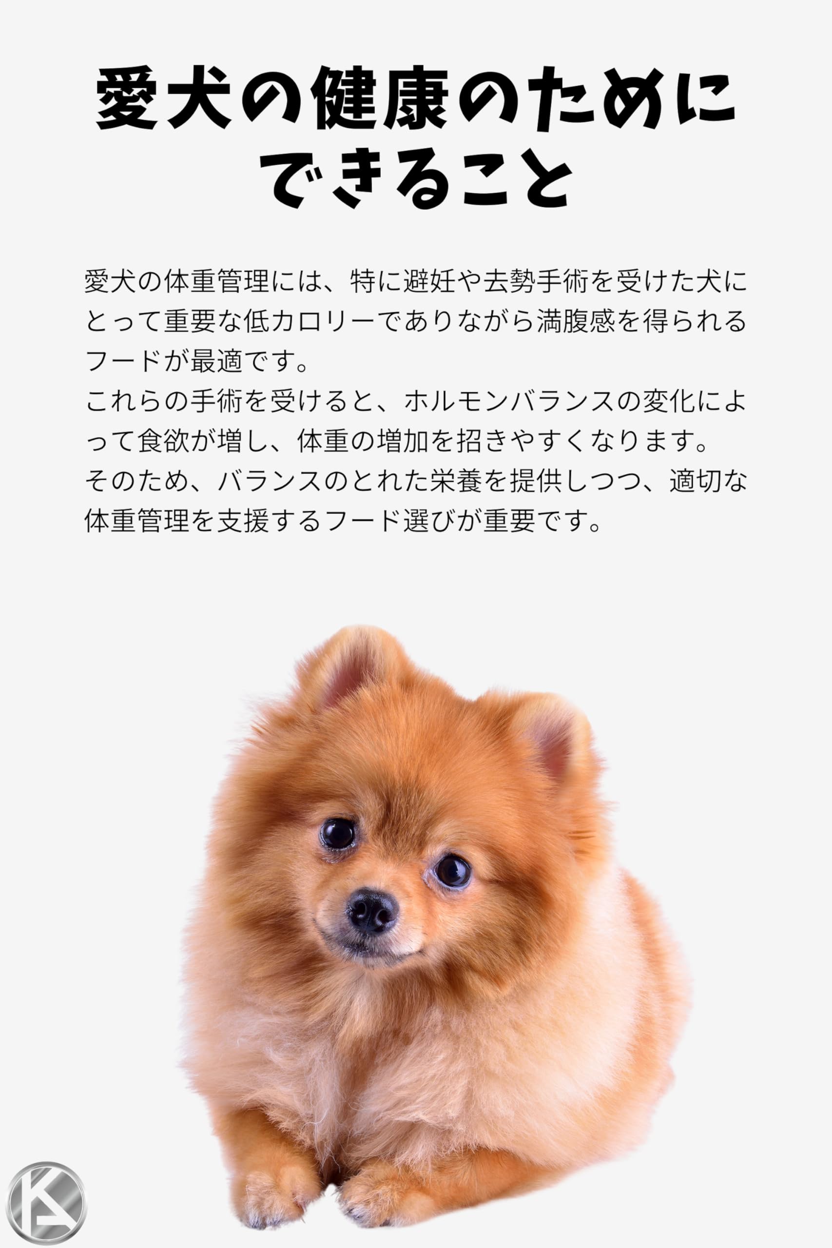 ロイヤルカナン ミニステアライズド 小型犬 10ヵ月齢以上 8kg ロイヤルカナン ミニステアライズド 小型犬 10ヵ月齢以上 8kg 【公式通販】