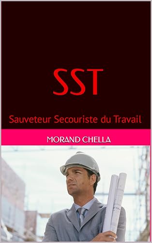 SST: Sauveteur Secouriste du Travail (French Edition)