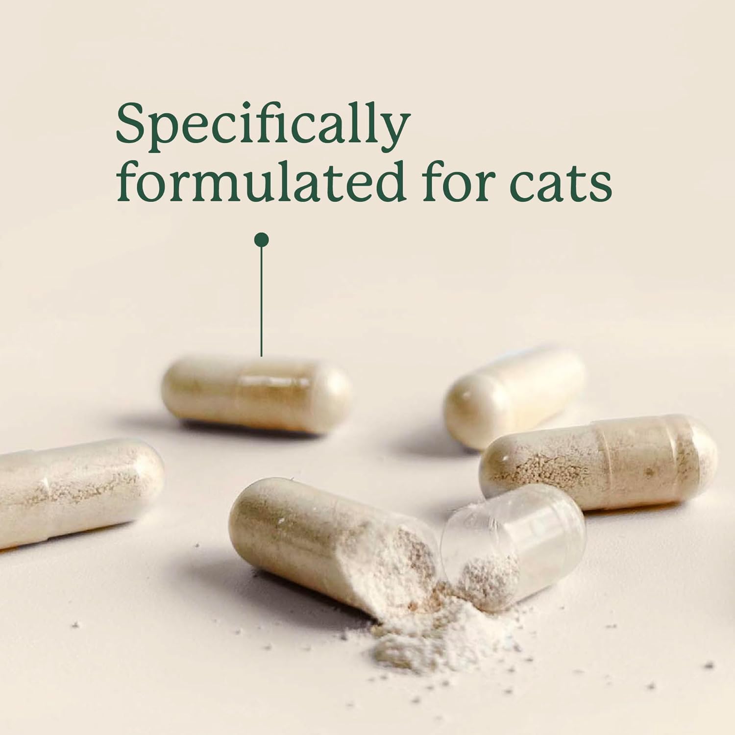 AnimalBiome NEW Gut Maintain Probiotics for Cats (30 Capsules) KittyBiome – Triple-Action Phage, Prebiotics & Probiotic Cat Supplements for Digestive Health, Open Capsule for Easy Food Topper Option