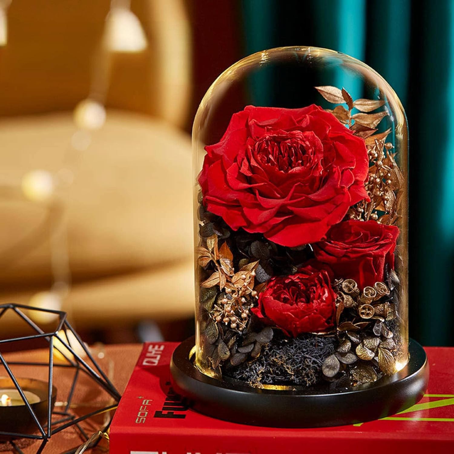 Preserved Fresh Flower Glass Cover Finished Rose Wholesale Valentine's Day Gift Flowers Preserved Fresh Flower Gift Box
