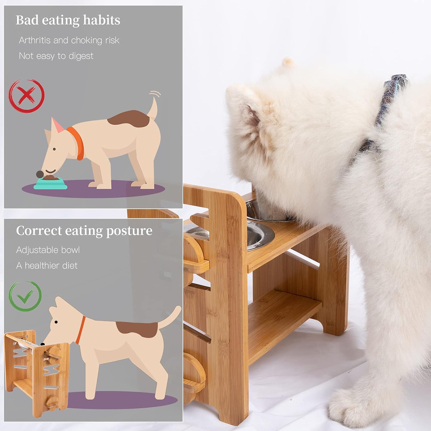 Are Raised Dog Food Bowls Good Or Bad