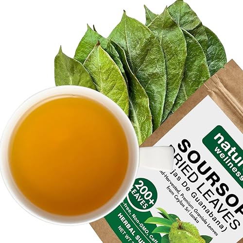 Miniatura 4 de Hojas secas de guanábana de guanábana premium, más de 200 hojas de guanábana, hoja de graviola silvestre, hojas sueltas de té de hierbas 100%