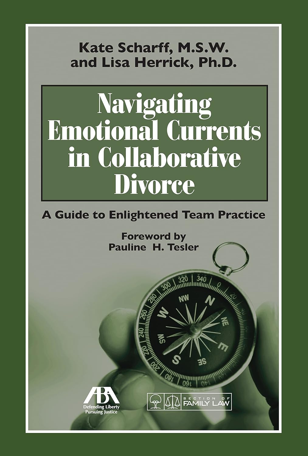Navigating Emotional Currents in Collaborative Divorce: A Guide to Enlightened Team Practice      Paperback – October 16, 2011
