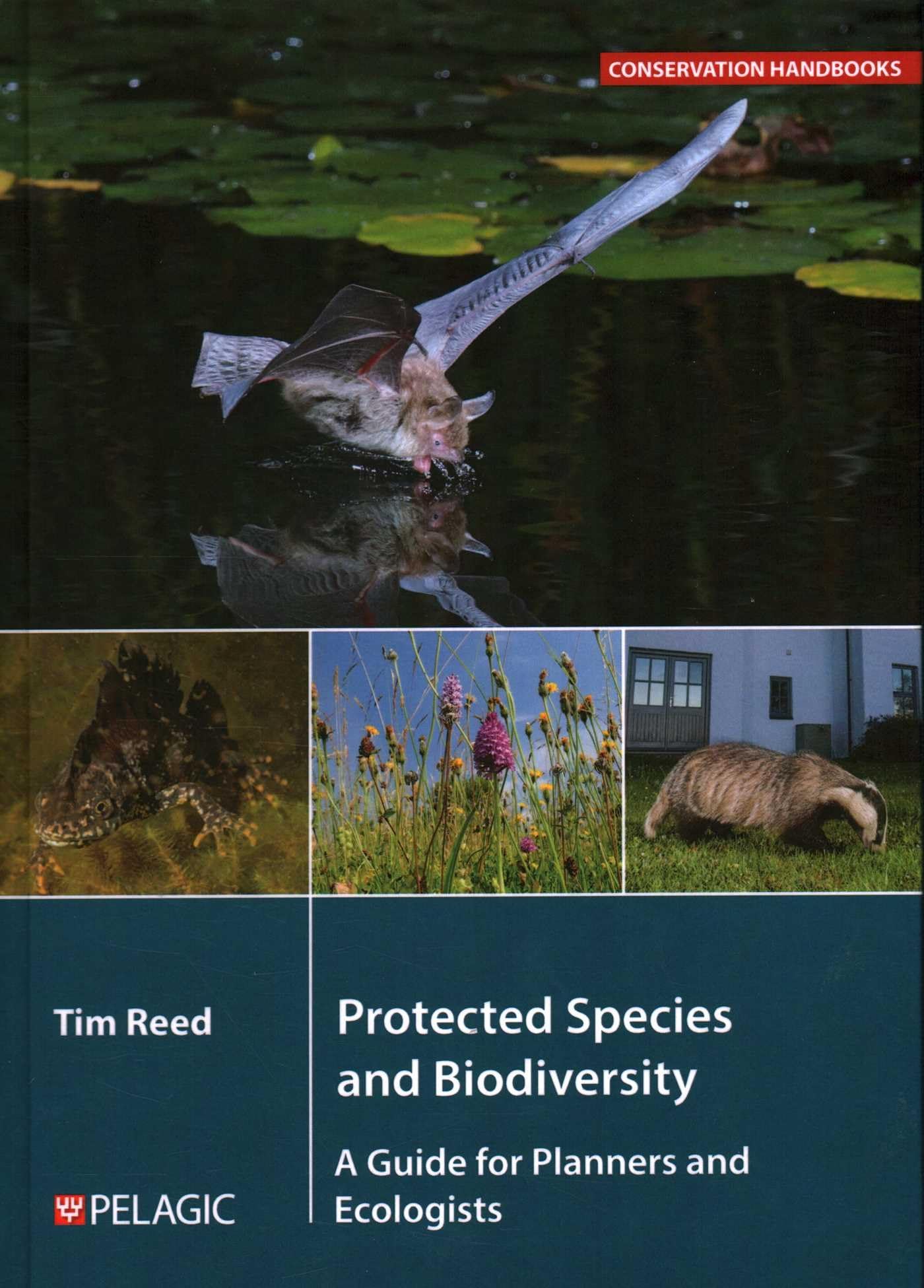 Protected Species and Biodiversity: A Guide for Planners and Ecologists (Conservation Handbooks)
