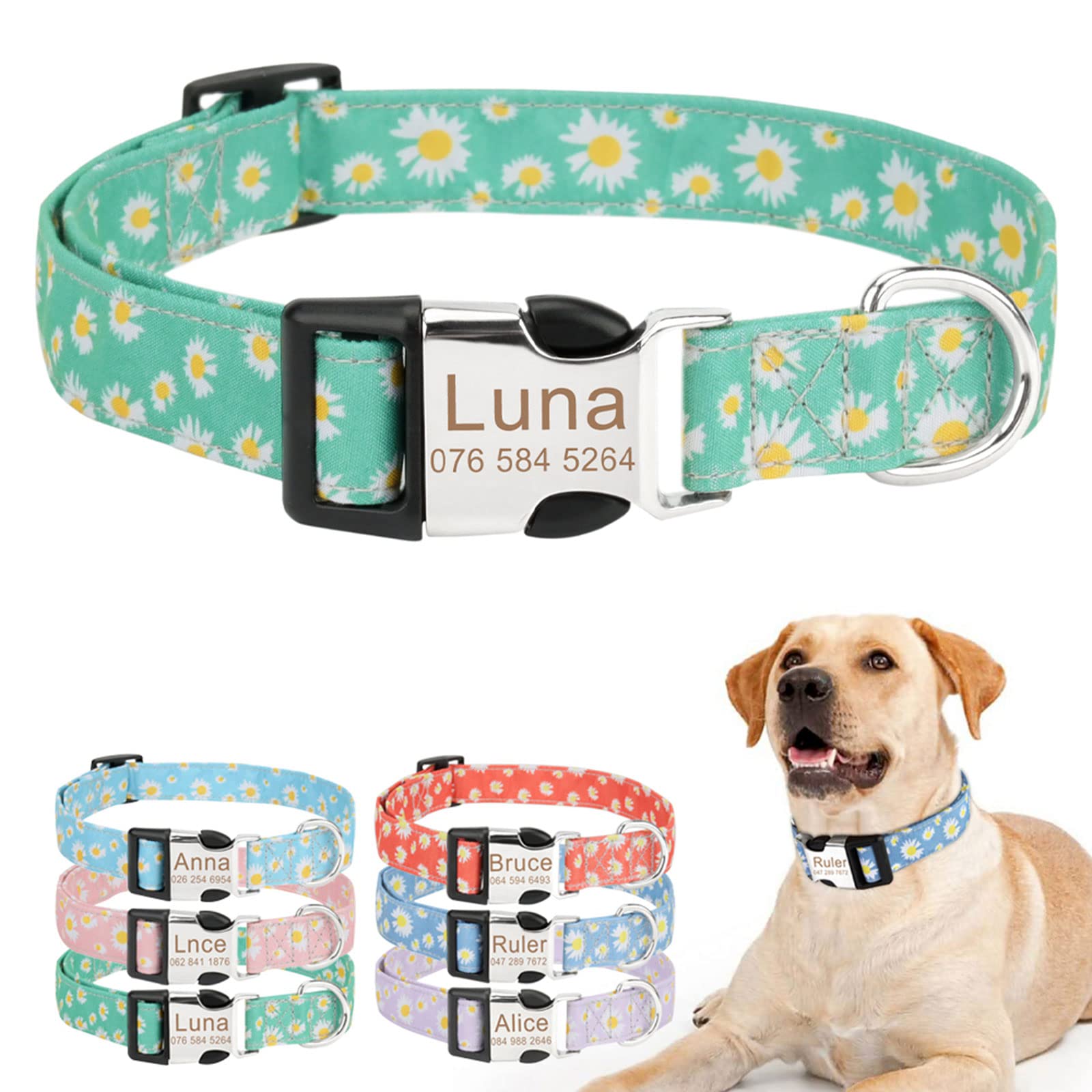 Personalized Dog Collar, Fashion Patterns Custom Cute Daisy Flower Pattern Engraved Tag Name and Phone Number, Adjustable Pet Collar with Leash, for