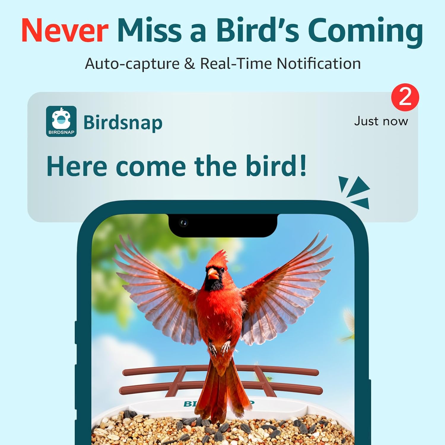 birdsnap® TUC Bird Feeder with Camera 2K HD, Solar Panel 32GB Card 4-in-1 Perch, 160°View Auto Detect & Notify AI Identify Video Bird Camera Wireless Outdoors Ideal Gift for Birds Lover - Image 4