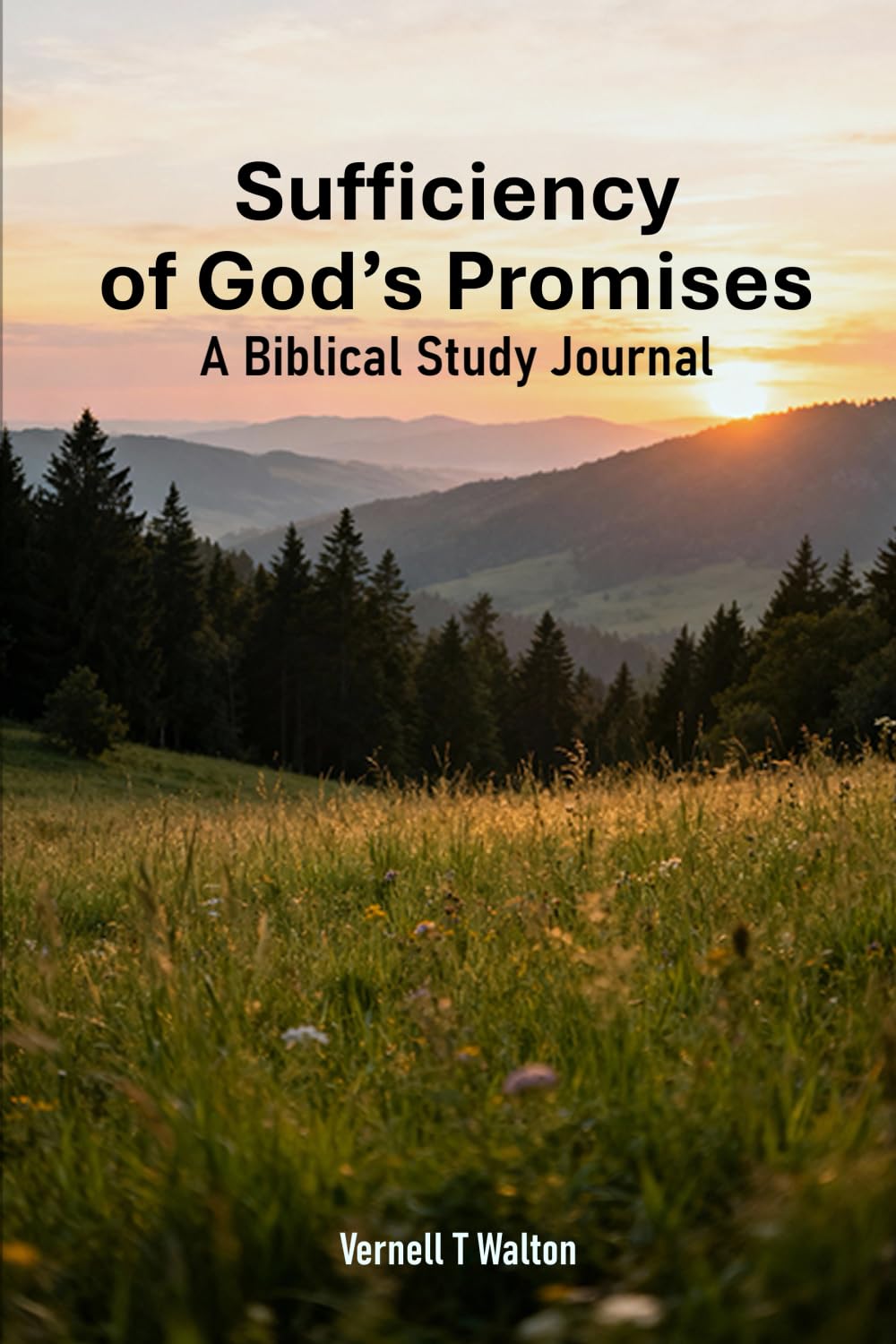 Sufficiency of God's Promises: A Biblical Study Journal