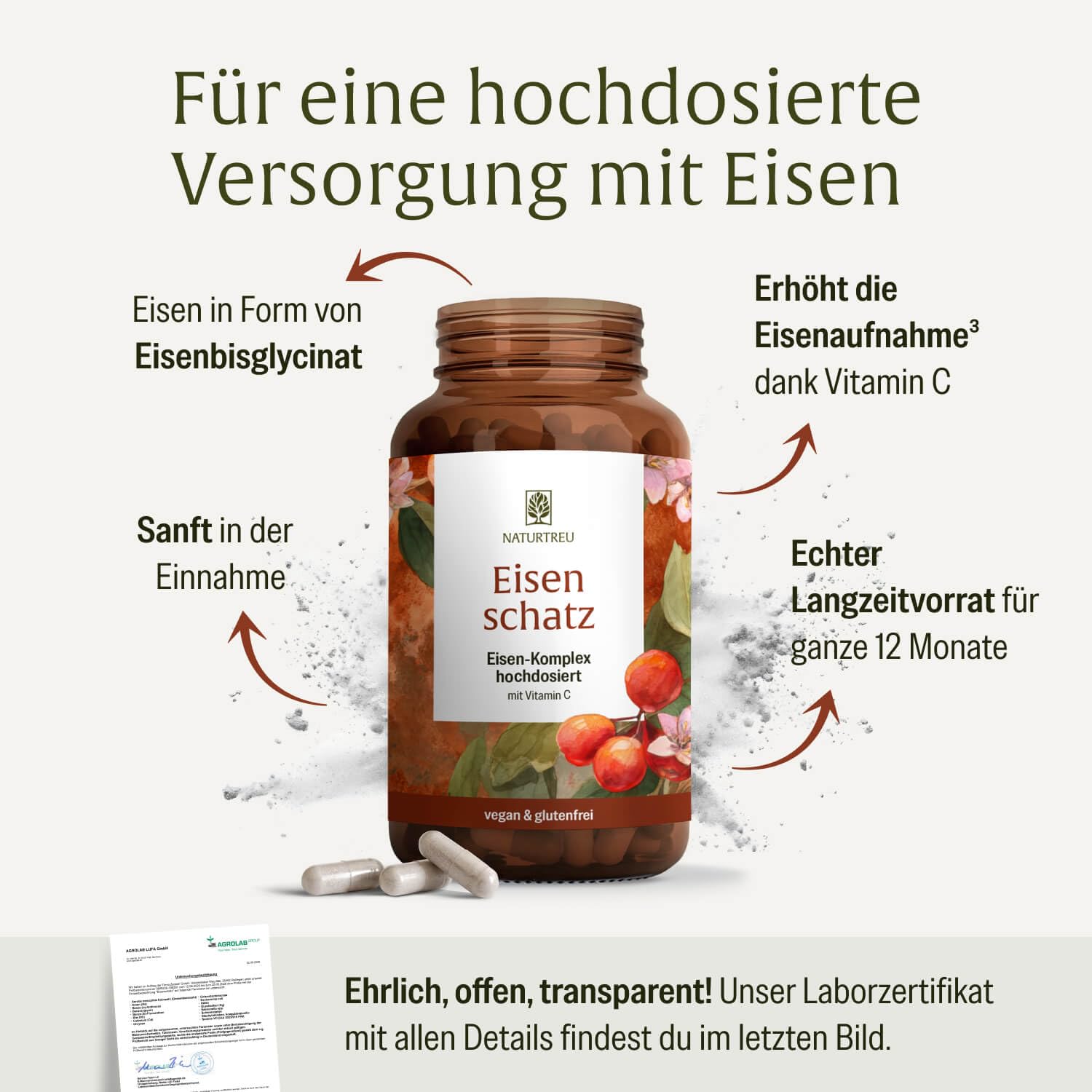 NATURTREU® Eisen Komplex hochdosiert - Eisenkapseln mit Vitamin C