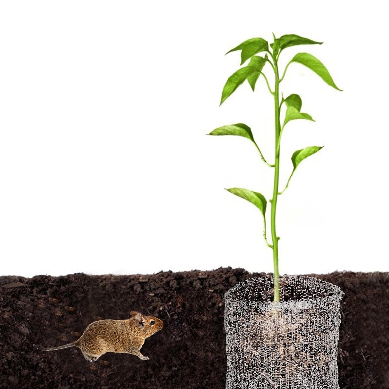 VIFERR Protezione per Radici Rete per Piante 4 Sacchetti a Rete Metallica in Acciaio Inox Reti Protettive da Giardino Protezione per Radici per Proteggere Radici di Alberi Fiori e Ortaggi