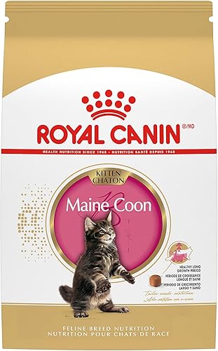 Miniatura 9 de Royal Canin Maine Coon Breed Alimento seco para gatos adultos, bolsa de 14 libras