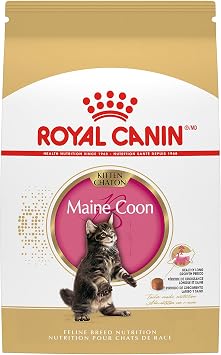 ROYAL CANIN Feline Breed Nutrition Maine Coon Kitten Dry Cat Food, 3 lb Bag