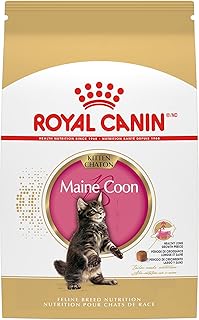 Royal Canin Feline Breed Nutrition Maine Coon Kitten Dry Cat Food, 3 lb Bag