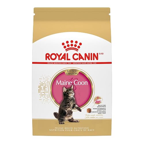Royal Canin Feline Breed Nutrition Maine Coon Kitten Dry Cat Food, 3 lb Bag | Formulated For Maine Coon Cats, Specialized Kibble, For Kittens, Crunchy Kibble, Developed by Veterinarians