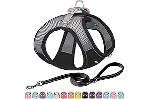 AIITLE Puppy Prime Day Harness and Leash Set