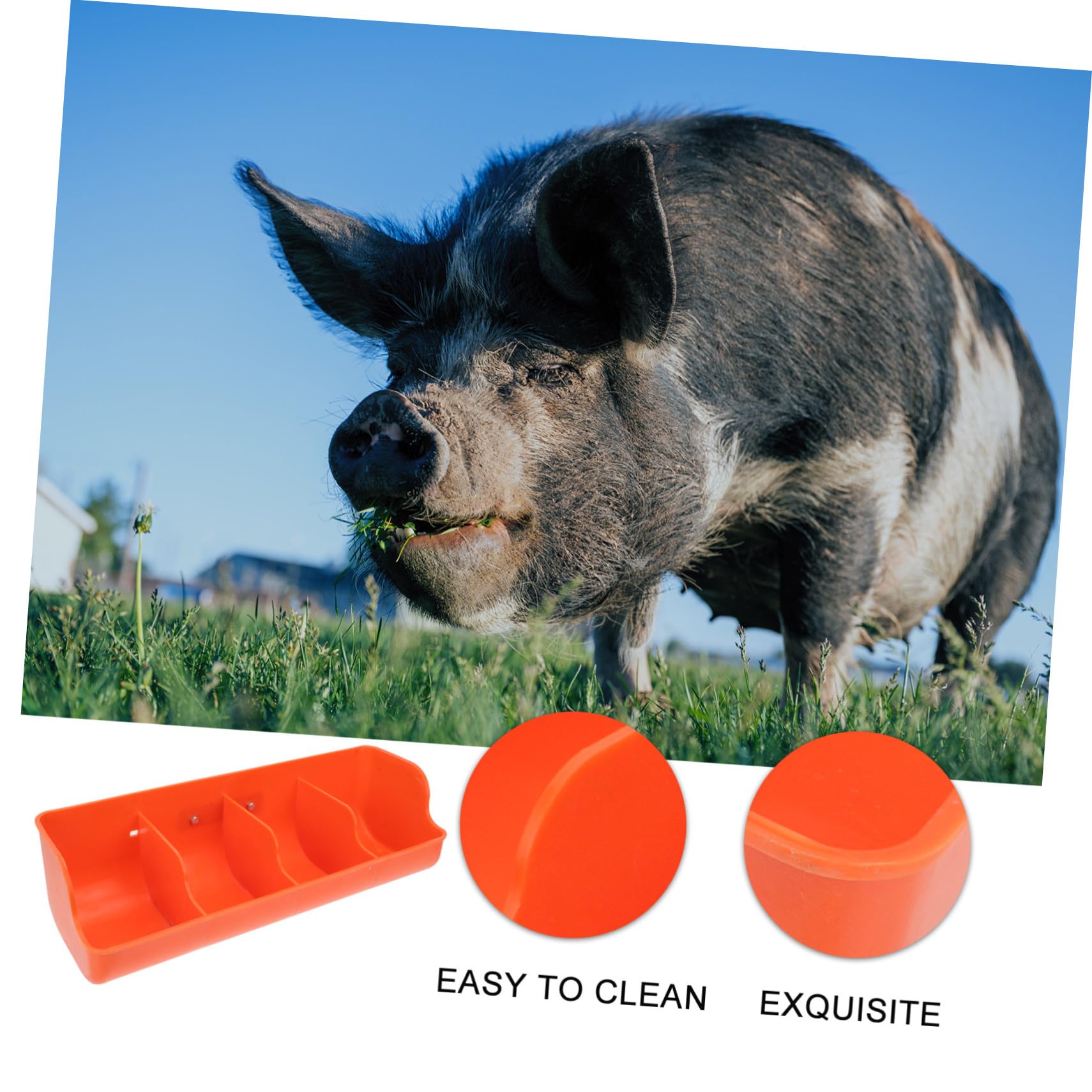 TOYANDONA Mangiatoia per Suinetti in Plastica Arancia 4 Scomparti, Previene Fuoriuscite di Cibo, Adatta a Suini, per Allevamenti Suini Stili multipli