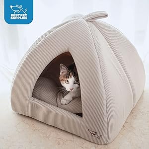 The 10 Best Cat Beds 3 71nd aJPEIL. AC SL300