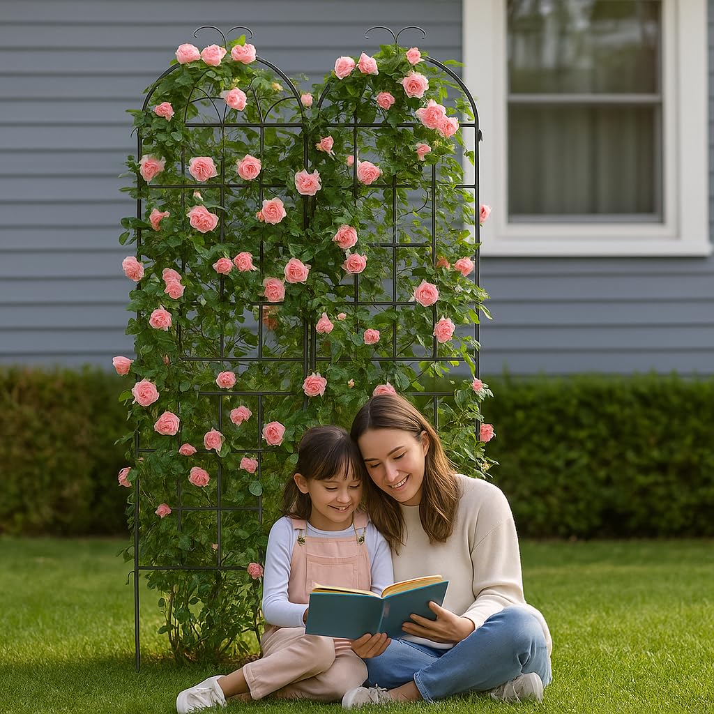 Enrejado para plantas de rosas y hiedra en un pack de dos tutores de metal exterior