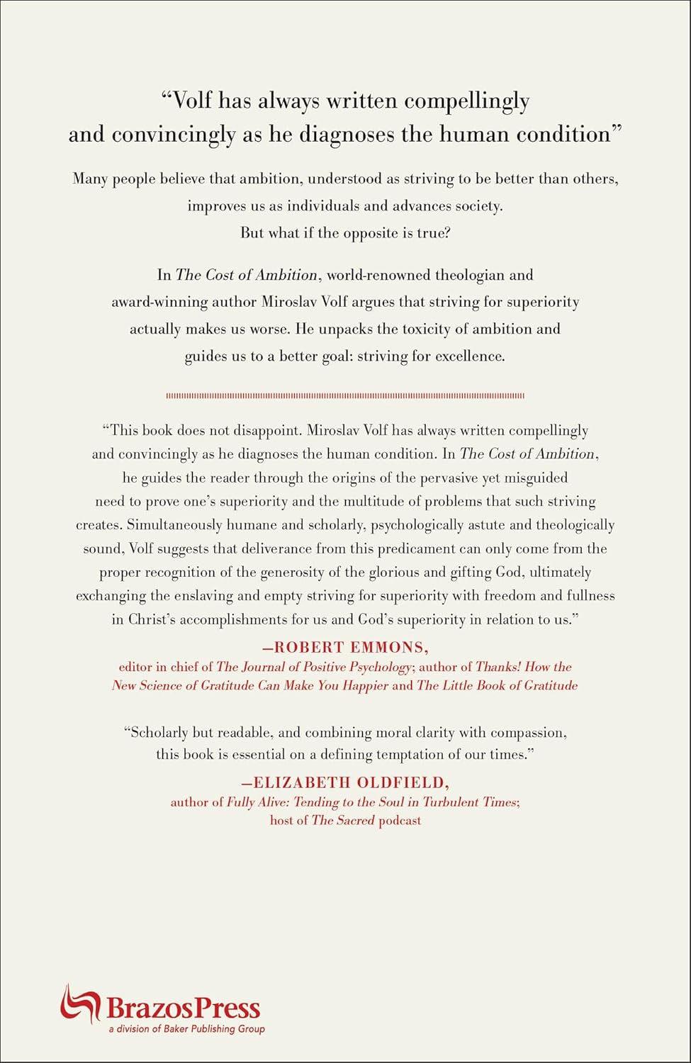 The Cost of Ambition: How Striving to Be Better Than Others Makes Us Worse (Why Ambition Is at Odds with the Christian Faith) (Theology for the Life of the World) - Image 2